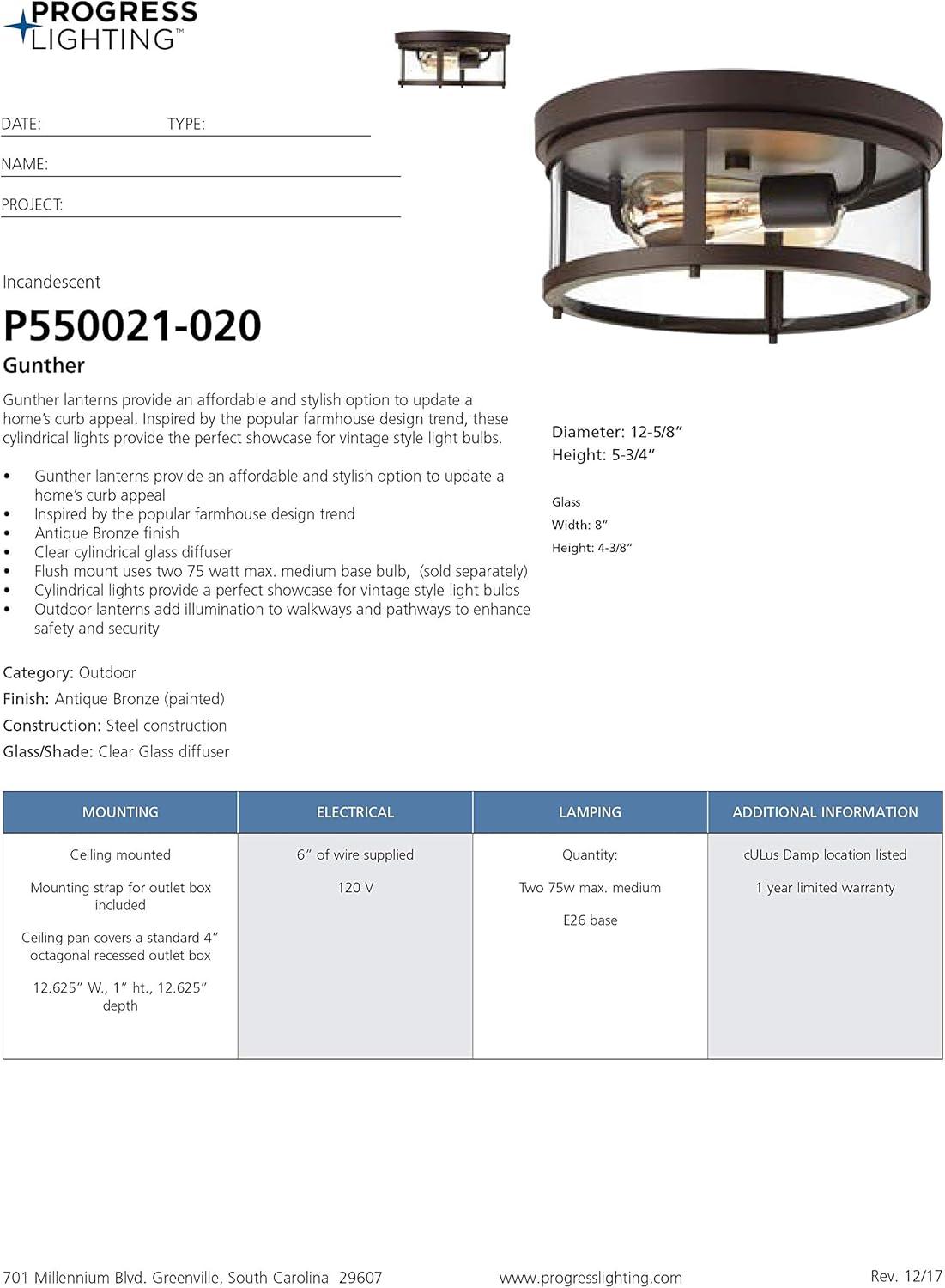 image:imageProgress Lighting Gunther Collection 2Light Clear Glass Farmhouse Outdoor Flush Mount Light Antique Bronze 575x1263x1263Bronze