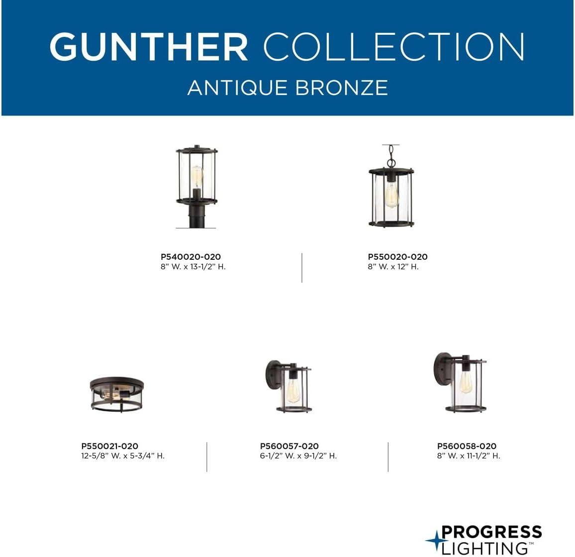 image:imageProgress Lighting Gunther Collection 2Light Clear Glass Farmhouse Outdoor Flush Mount Light Antique Bronze 575x1263x1263Bronze