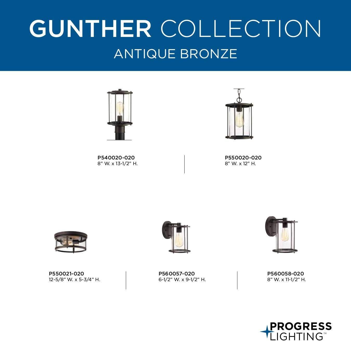 image:imageProgress Lighting Gunther Collection 2Light Clear Glass Farmhouse Outdoor Flush Mount Light Antique Bronze 575x1263x1263Bronze