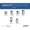 Progress Lighting Endicott Collection 1-Light Clear Seeded Glass Craftsman Outdoor Medium Wall Lantern Light Textured Black