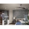 Progress Lighting P2570-15 Protruding Mount, 2 Black Blades Ceiling fan, Polished Chrome, 18.13×56.00×56.00(Polished Chrome)