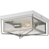 Progress Lighting Barlowe Collection 2-Light Stainless Steel Clear Seeded Glass Farmhouse Outdoor Flush Mount Ceiling Light
