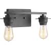 Progress Lighting Debut Collection 2-Light Farmhouse Bath Vanity Light Graphite(Graphite)