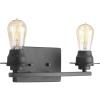 Progress Lighting Debut Collection 2-Light Farmhouse Bath Vanity Light Graphite(Graphite)