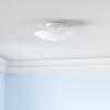 Progress Lighting 12″ Round Glass 2-Light Close-to-Ceiling, Indoor, P4609-30, White(White)