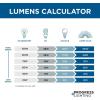 Progress Lighting 12″ Round Glass 2-Light Close-to-Ceiling, Indoor, P4609-30, White(White)