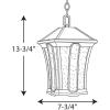 Progress Lighting P550000-020 Twain One-Light Hanging Lantern, Antique Bronze