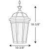 Progress Lighting P550002-031 Verdae Three-Light Hanging Lantern, Black