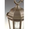 Progress Lighting P550002-031 Verdae Three-Light Hanging Lantern, Black