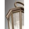 Progress Lighting P550002-031 Verdae Three-Light Hanging Lantern, Black