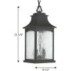 Progress Lighting P550003-020 Devereux One-Light Hanging Lantern, Brushed Bronze