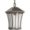 Progress Lighting P550000-020 Twain One-Light Hanging Lantern, Antique Bronze