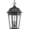 Progress Lighting P550002-031 Verdae Three-Light Hanging Lantern, Black