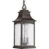 Progress Lighting P6532-108 Traditional/Classic 2-60W Cand Hanging Lantern, Oil Rubbed Bronze