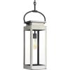 Union Square Collection 1-Light Farmhouse Outdoor Hanging Lantern Light Stainless Steel