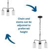 Progress Lighting P400274-009 Merry Chandeliers, Nickel(Matte Black)