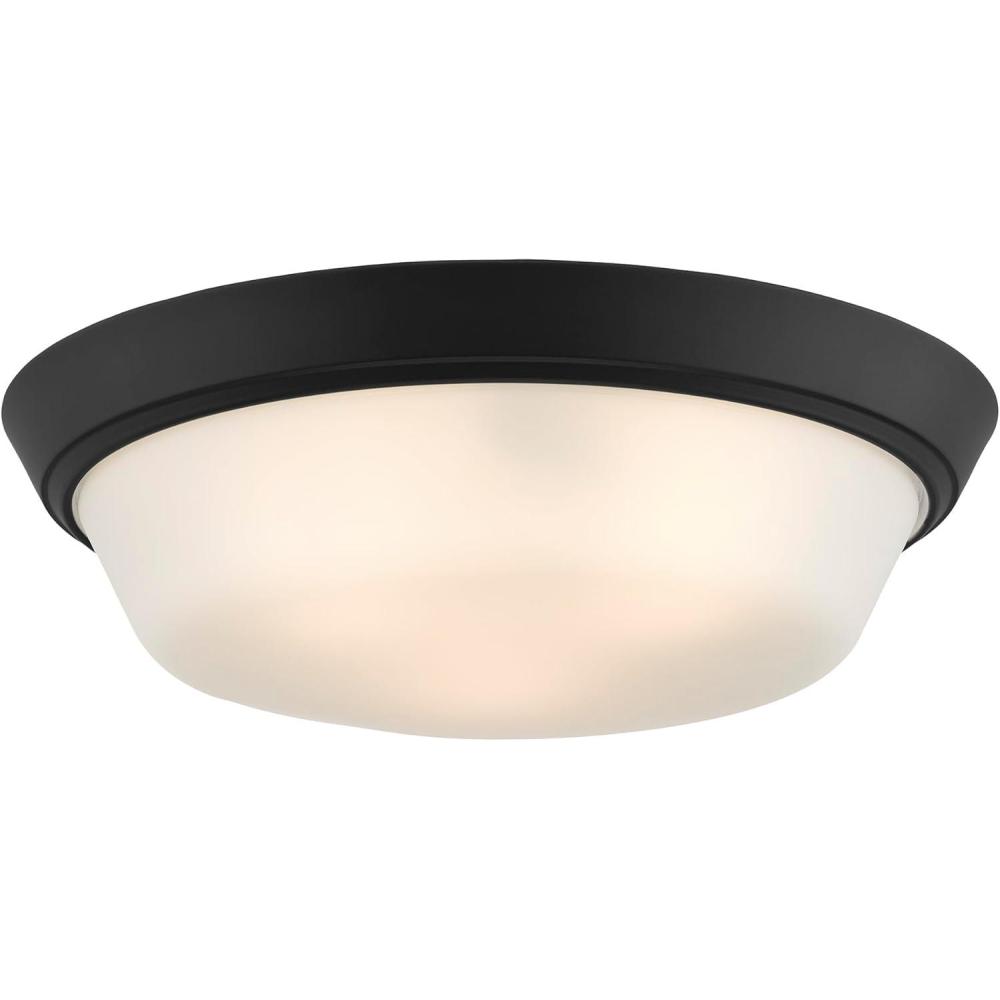 image:imageProgress Lighting Edessa Collection TwoLight Large Flush Mount Light with White Glass Shade