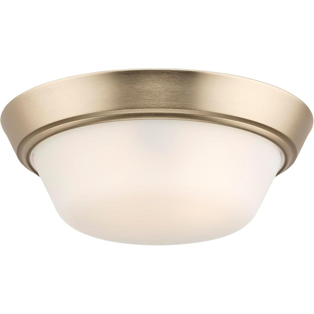image:imageProgress Lighting Edessa Collection TwoLight Small Flush Mount Light with White Glass Shade