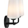 Progress Lighting Celino Collection Two-Light Vanity Light with White Glass Shades