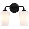 Progress Lighting Celino Collection Two-Light Vanity Light with White Glass Shades