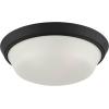Progress Lighting Edessa Collection Two-Light Large Flush Mount Light with White Glass Shade