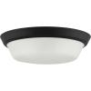 Progress Lighting Edessa Collection Two-Light Large Flush Mount Light with White Glass Shade