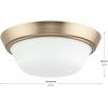 Progress Lighting Edessa Collection Two-Light Small Flush Mount Light with White Glass Shade