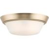 Progress Lighting Edessa Collection Two-Light Small Flush Mount Light with White Glass Shade