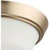 Progress Lighting Edessa Collection Two-Light Small Flush Mount Light with White Glass Shade