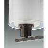 Progress Lighting Invite Collection 4-Light White Shade New Traditional Bath Vanity Light Brushed Nickel(Antique Bronze)