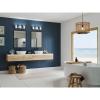 Progress Lighting P300415-015 Reiss 22.75 in. Three-Light Polished Chrome Vanity Light with Etched Glass Shade(Polished Chrome)