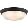 Progress Lighting Edessa Collection Two-Light Large Flush Mount Light with White Glass Shade