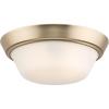 Progress Lighting Edessa Collection Two-Light Small Flush Mount Light with White Glass Shade