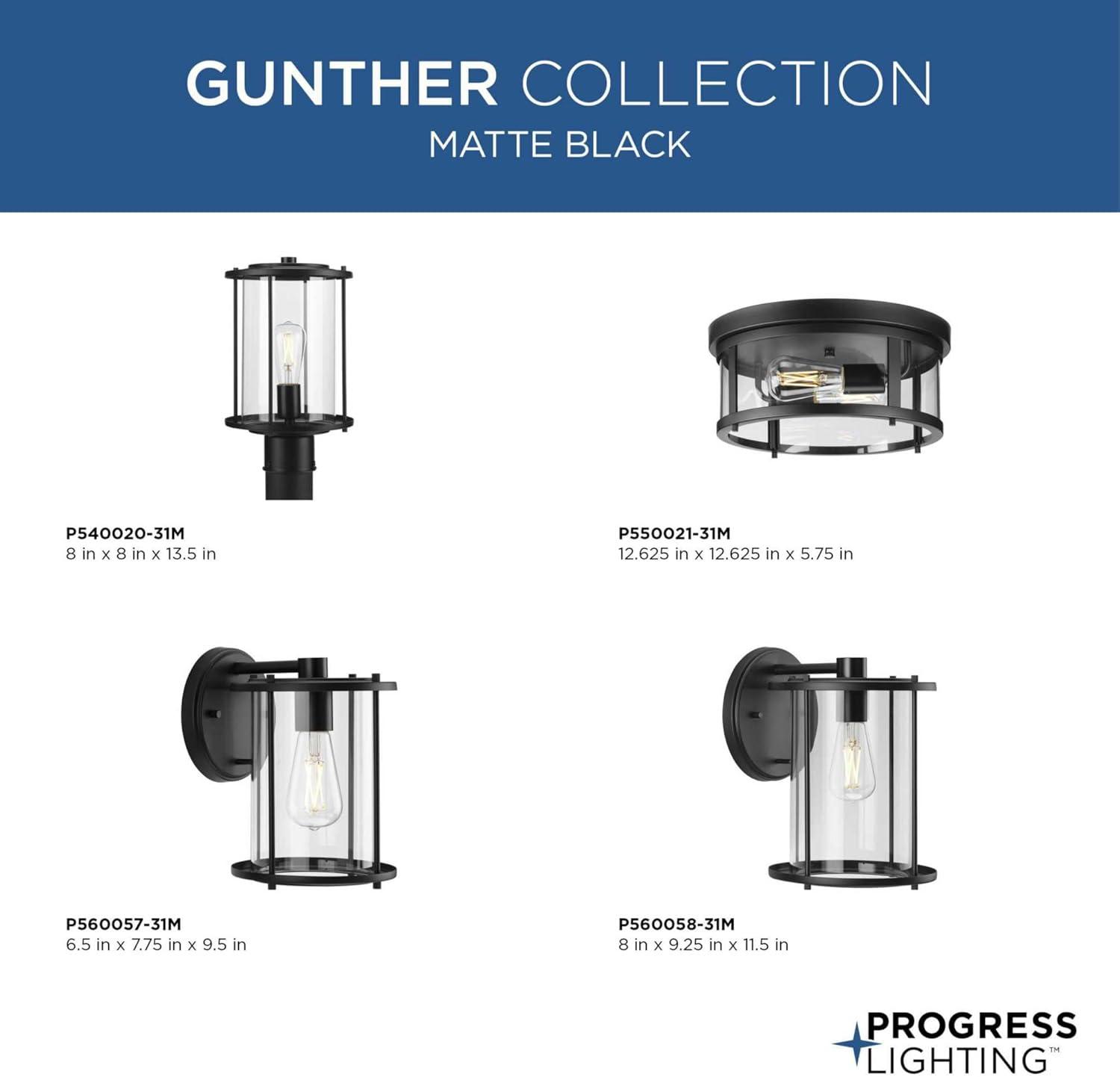 image:imageProgress Lighting P55002131M Gunther 12625 in TwoLight Matte Black Flush Mount Light with Clear Glass ShadePolished Chrome