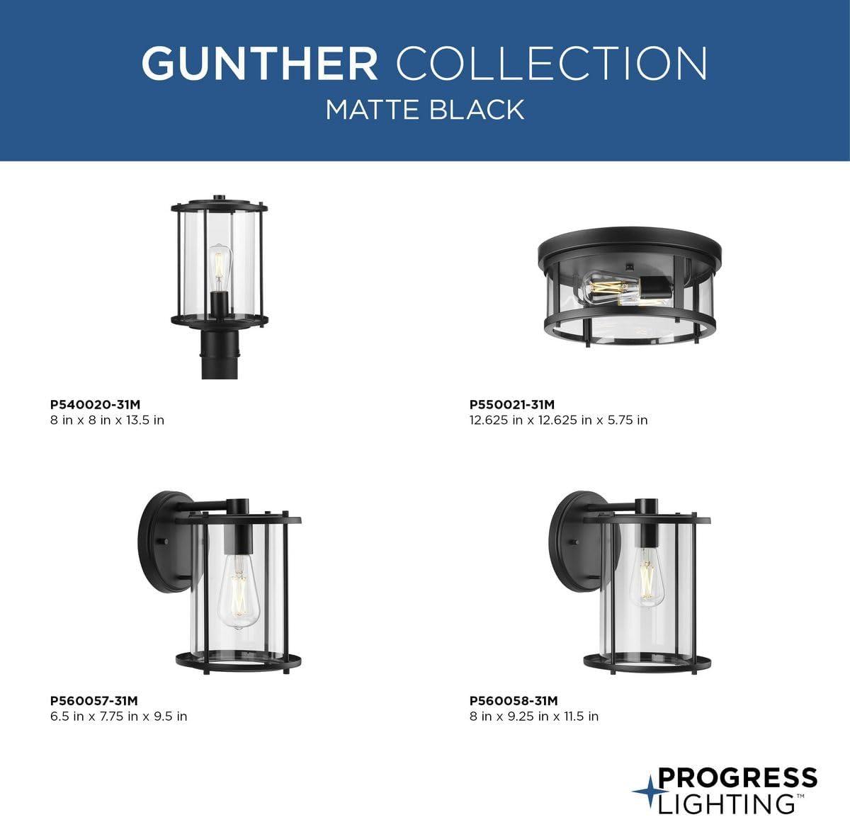 image:imageProgress Lighting P55002131M Gunther 12625 in TwoLight Matte Black Flush Mount Light with Clear Glass ShadePolished Chrome