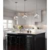 Progress Lighting 1-Light Clear Glass Farmhouse Pendant Light, Penn Collection, Indoor, P5070-104, Polished Nickel(Polished Nickel)