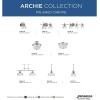 Progress Lighting 2-Light 12-3/8″ Close-to-Ceiling, Archie Collection, Indoor, P3740-163, Vintage Brass(Chrome)