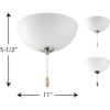 Progress Lighting 2-Light Ceiling Fan Light, Bravo Collection, Indoor, P2650-01WB, Antique Bronze, Brushed Nickel(Unfinished)