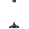 Progress Lighting Cedar Springs Collection 1-Light Black Metal Shade Farmhouse Outdoor Hanging Light Textured Black(Black)