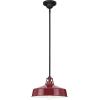 Progress Lighting Cedar Springs Collection 1-Light Black Metal Shade Farmhouse Outdoor Hanging Light Textured Black(Red)