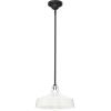 Progress Lighting Cedar Springs Collection 1-Light Black Metal Shade Farmhouse Outdoor Hanging Light Textured Black(White)