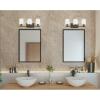 Progress Lighting Invite Collection 3-Light Shade New Traditional Bath Vanity Light Brushed Nickel, 7.38×23.50×23.50(Antique Bronze)