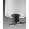 Progress Lighting Invite Collection 3-Light Shade New Traditional Bath Vanity Light Brushed Nickel, 7.38×23.50×23.50(Antique Bronze)