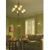 Progress Lighting P4329-09 9-Light Trinity Chandelier, Brushed Nickel, 30-Inch Diameter x 33-Inch Height(Bronze)