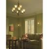 Progress Lighting P4329-09 9-Light Trinity Chandelier, Brushed Nickel, 30-Inch Diameter x 33-Inch Height(Nickel)
