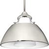 Progress Lighting P500013-104 Carbon One-Light Pendant with Metal Shade, Black(Polished Nickel)