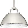 Progress Lighting P500013-104 Carbon One-Light Pendant with Metal Shade, Black(Polished Nickel)