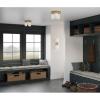 Progress Lighting P710116-163 Cofield Collection 22-1/2 in. Two-Light Vintage Brass Transitional Wall Bracket with Etched White Glass Shades(Silver)