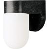 Progress Lighting Polycarbonate Outdoor 1-Light White Acrylic Shade Modern Outdoor Wall Light Textured Black