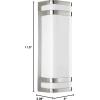 Progress Lighting Valera LED Collection 2-Light Matte White Acrylic Shade Modern Outdoor Large Wall Lantern Light Architectural Bronze(Nickel)
